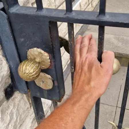 Schoene Dg *